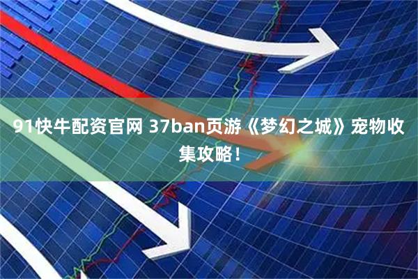 91快牛配资官网 37ban页游《梦幻之城》宠物收集攻略！