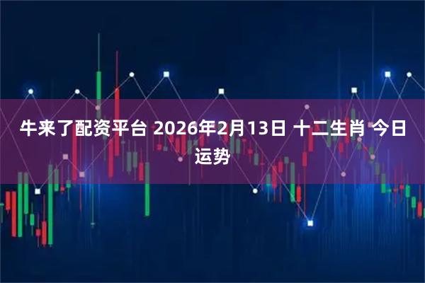 牛来了配资平台 2026年2月13日 十二生肖 今日运势