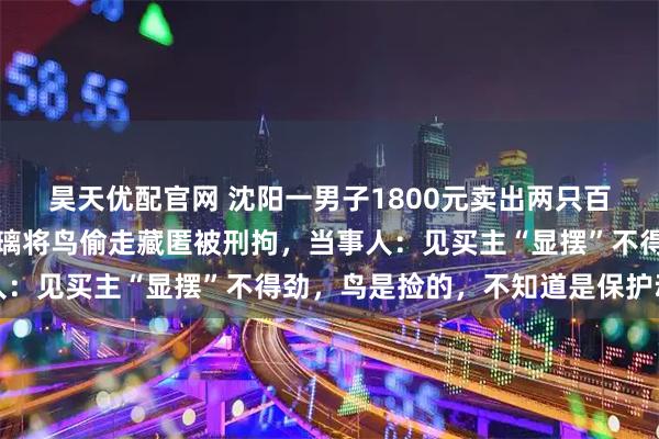 昊天优配官网 沈阳一男子1800元卖出两只百灵鸟后，砸坏买主家玻璃将鸟偷走藏匿被刑拘，当事人：见买主“显摆”不得劲，鸟是捡的，不知道是保护动物